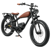 REVIBIKES Cheetah Pro
