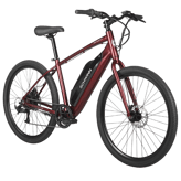 Schwinn Regent