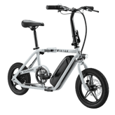 Schwinn Twister