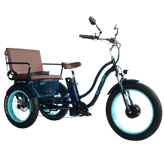 Sixthreezero EVRYjourney Rickshaw