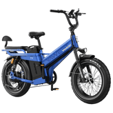 Tesway X7 Pro