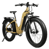 YOUNG ELECTRIC E-Scout Pro Step-Through