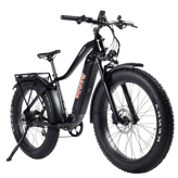 YOUNG ELECTRIC -Scout Fat Tire