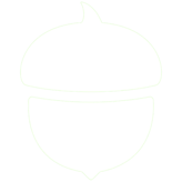 Acorns