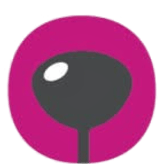 Knose