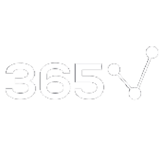 365 Financial Analyst