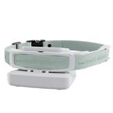 Invisible Fence GPS Collar