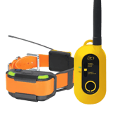 Dogtra Pathfinder 2