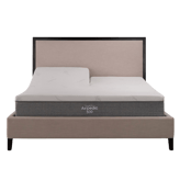 Airpedic 500