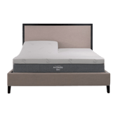 Airpedic 650