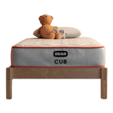 Bear Cub