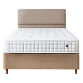 Darlings of Chelsea Coulston 9000 Pillow Top