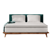 FlexiSpot Classic Hybrid