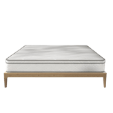 FlexiSpot Plus Hybrid