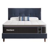 FlexiSpot Premier Hybrid