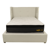 Nolah Evolution Comfort+
