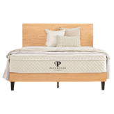 PlushBeds Savvy Bliss