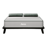 Siena Premier Hybrid