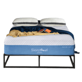 SleepSoul Premium Cool Gel