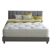 Sosoft Elegant Cotton & Wool