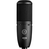 AKG P120