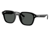 Ray-Ban RB4458D