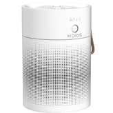 KOIOS P40