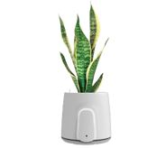 Vitesy Natede Smart