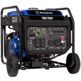 Westinghouse ecoGen10000