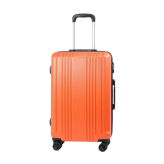 Coolife Carry On