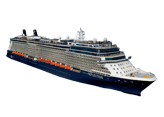 Celebrity Reflection