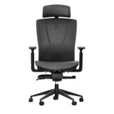 Autonomous ErgoChair Mesh