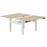 Branch Double Standing Desk