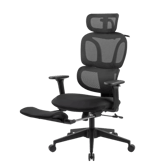 FlexiSpot C4