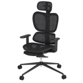 FlexiSpot C5Q