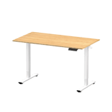 FlexiSpot E2