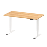 FlexiSpot E5