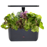 AeroGarden Harvest 2.0