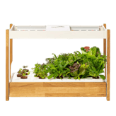 Click & Grow 25