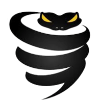 VyprVPN 
