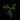 Razer