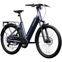 Your Segway Myon Assistance Guide
