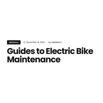 VTUVIA Guides to Electric Bike Maintenance (WEB)