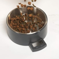 Salter Digital Pet Food Scale User Manual