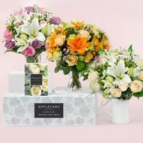 All About Appleyard London