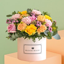 All About Bloom Magic