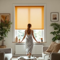 All About Everyday Blinds