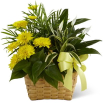 All About FlowerDelivery.com