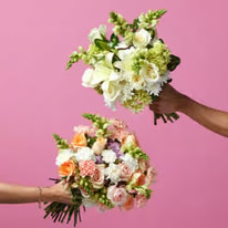 All About The Bouqs Co.