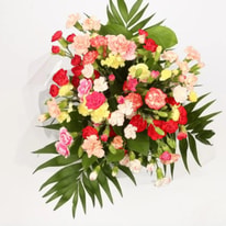 Blooma Florist Troubleshooting